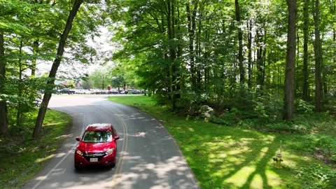 Persists Through a Forest - Green Lakes State Park - Syracuse, NY Stock Footage 336538189