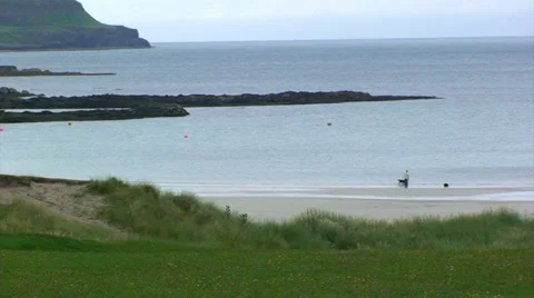 Person with 2 dogs playing on empty fjord beach Stock Footage 39829984