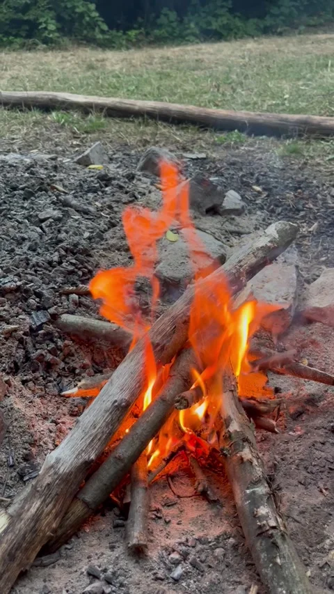 Person Adding Firewood to a Burning Campfire Stock Footage 345023115