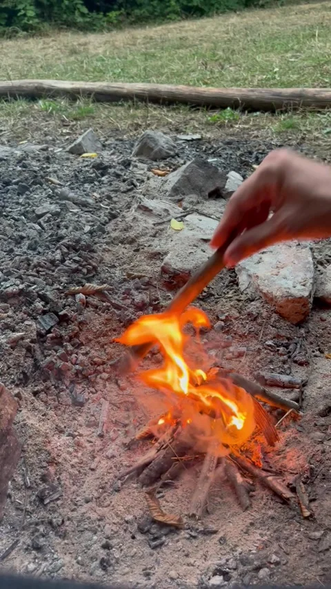 Person Adding Firewood to a Burning Campfire Stock Footage 345023135