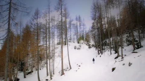 Person among the forest in winter Stock Footage 18520361