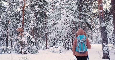 Person with backpack and ski poles appears from behind the camera and walks Stock Footage 221925290