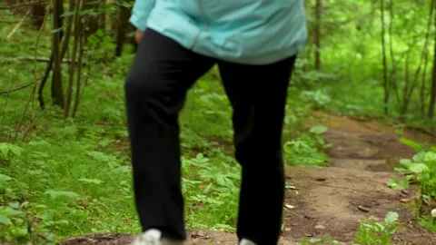 Person with Backpack Walking on Forest Trail Stock Footage 314006020