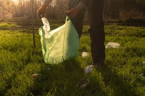A person bends down to pick up plastic waste from the ground in a grassy ar.. Stock Photos