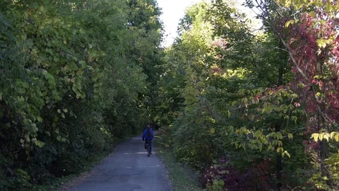 Person bikes through paved trail in woods Stock Footage 74070278