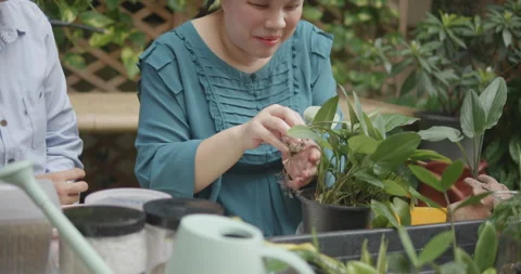 Person with blindness disability learning plants and gardening Stock Footage 323448735