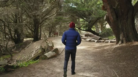 Person in a blue jacket walking through the woods. Stock Footage 150239515