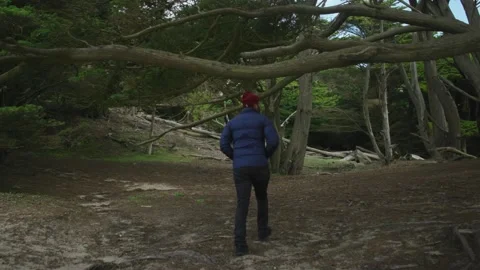 Person in a blue jacket walking through the woods. Stock Footage 150240253