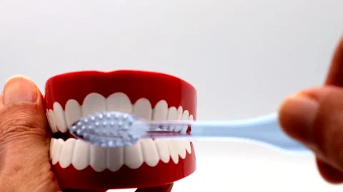 A person brushing a tooth model. Stock Footage 336275985