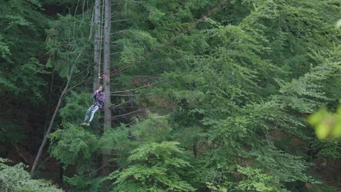 Person Bungee Jumping from Forest Platform in Scotland Stock Footage 315482961