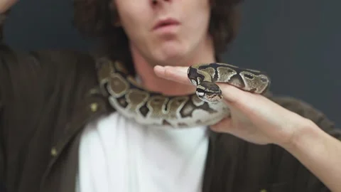 A person cannot move when a snake is wrapped around his neck and shoulders. A Stock Footage 157636973