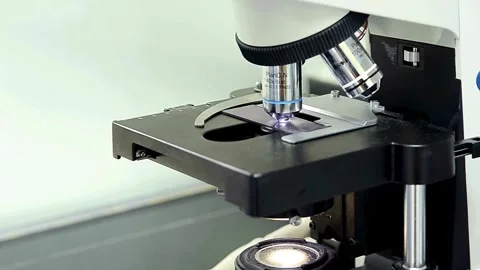 A person carefully studies the behavior of microorganisms under a microscope, Stock Footage 336582802