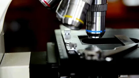 A person carefully studies the behavior of microorganisms under a microscope, Stock Footage 336582842
