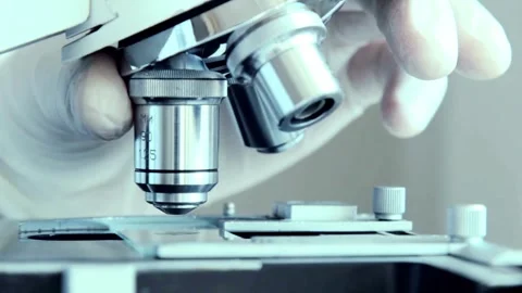 A person carefully studies the behavior of microorganisms under a microscope, Stock Footage 336582882