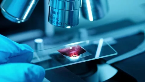 A person carefully studies the behavior of microorganisms under a microscope, Stock Footage 336582891