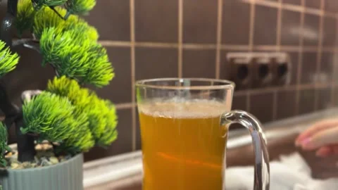Person checking kombucha SCOBY growth in kitchen Stock Footage 311313975