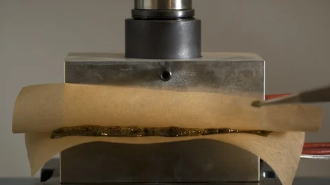 Person checking marijuana substance with dab tool, then rosin press lifts up. 動画素材 88160741