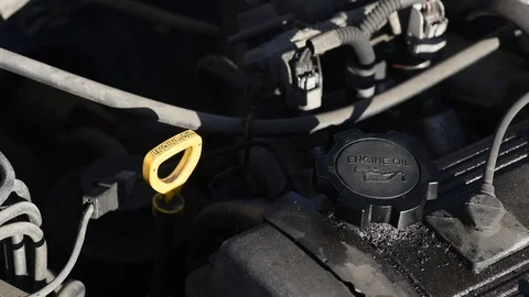 Person checking oil level on engine dipstick Stock Footage 101329212