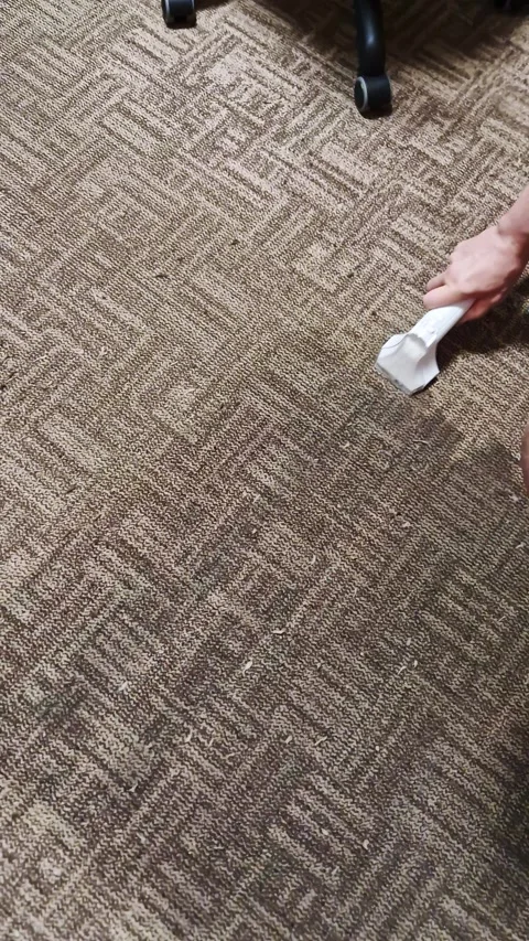 Person Cleaning Brown Patterned Carpet with White Vacuum Cleaner Nozzle Stock Footage 339082135