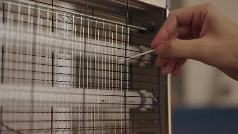 Person cleaning grill of uv bug zapper with cotton swab, removing trapped Stock Footage 321402425