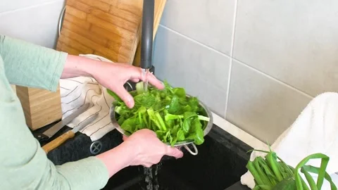 A person cleans fresh spinach in a kitchen sink Stock-Footage 337188177