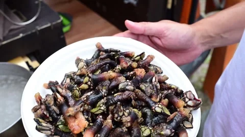 Person cooking goose barnacles in boiling water outdoors Video stock 343625258