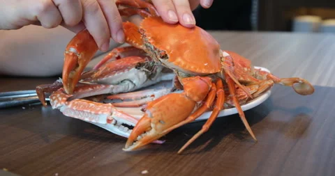 Person cracking open fresh crab at an outdoor dining table, showcasing seafood Stock Footage 302814166