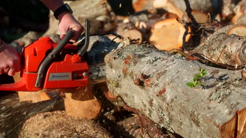 A Person Cuts a Log With a Chainsaw During Outdoor Work in Tromsø, Norway - Stock Footage 325957985