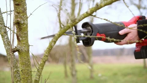 A person is cutting branches of a tree using a power saw in a garden. Stock Footage 300370785