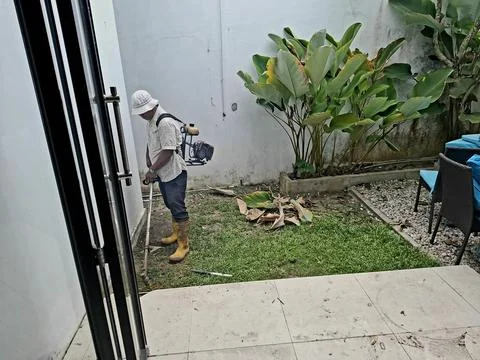 A person is cutting the grass in the yard Stock Photos