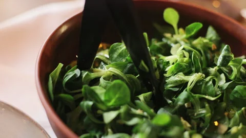 Person cutting micro greens with kitchen scissors in bowl Stock Footage 276432023
