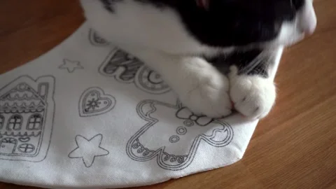 Person decorating Christmas stocking while a curious cat sits beside Stock Footage 323108990