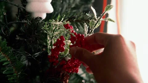 Person decorating christmas tree with red berries 스톡 동영상 332239489