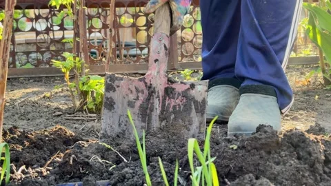 Person digging and turning the soil with a shovel in spring Stock Footage 345833844