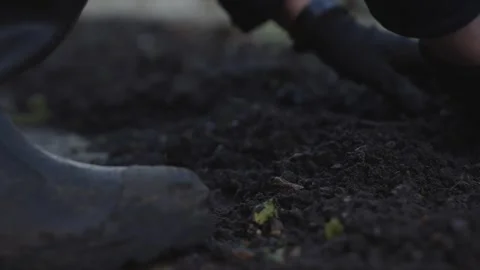A person is digging in the dirt with a pair of black boots Stock Footage 301618562