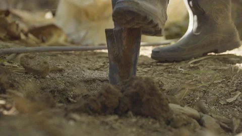 Person digging soil with spade Stock Footage 108738268