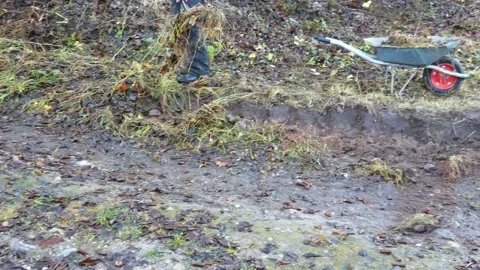 Person digs in the ground with a tool beside a wheelbarrow in a forest area duri Stock Footage 325039591