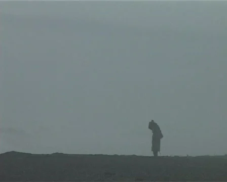 Person distant and storm waves Stock-Footage 144693