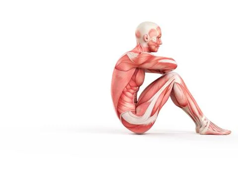 Person doing sit ups Stock Illustration