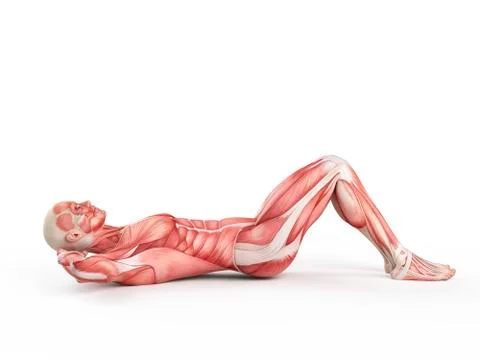 Person doing sit ups Stock Illustration