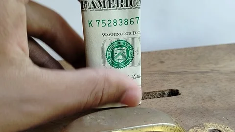 Person donating US dollar banknote into a charity box, concept of generosity, ph Stock Footage 331346285