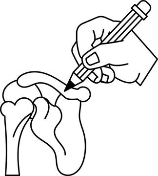 A person is drawing a bone with a pencil Stock Illustration