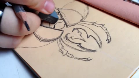 A person is drawing a bug on a piece of paper Stock Footage 271393231