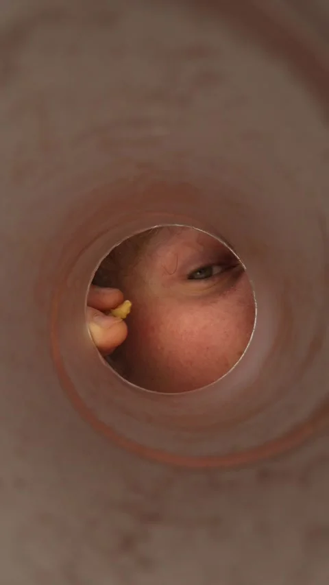Person eating nuts from container Stock Footage 337160375