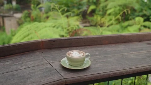 Person Enjoy Coffee While Admiring Beautiful Waterfall Lush Tropical Forest Bali Stock Footage 344833928