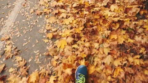 Person with Exercise Shoes Walking Through Fall Leaves on Road, Ground View Stock Footage 229787876