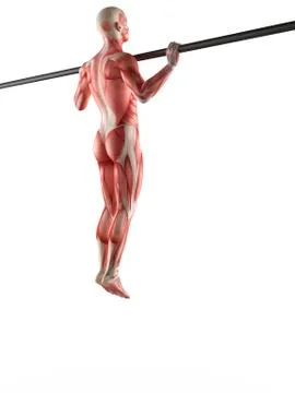 Person exercising on pull up bar イラスト素材