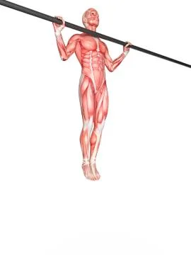 Person exercising on pull up bar イラスト素材