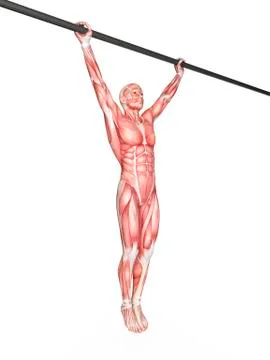 Person exercising on pull up bar イラスト素材
