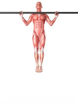 Person exercising on pull up bar イラスト素材